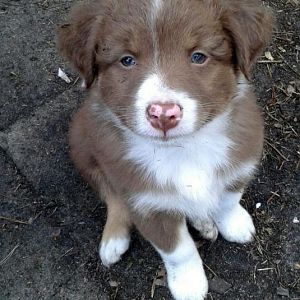 Mein kleiner "Casper" ;-)