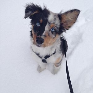 Bella aus Buchkirchen OÖ