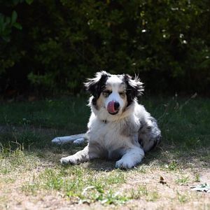 Kia - My magic little heaven