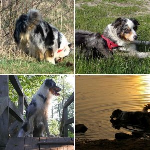 Alice * 05.06.2004 - + 28.12.2017