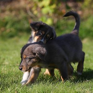 Joe - schon hier der "Big Boss"