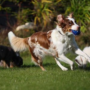 Cheyenn, die tolle Mama