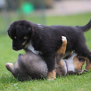 Joe und die "Hübsche"