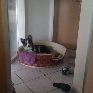 so nun hab ich alles im überblick