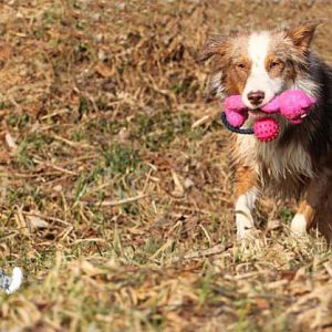 184942 193366300694614 100000637366637 556169 2588657 n