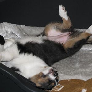 Hauptsache es ist bequem ;-)