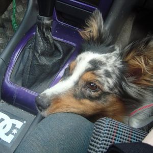 Ich Liebe Autofahren :)