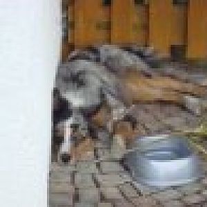 erledigt vom Spielen