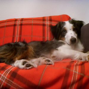 Weihnachten, schön gemütlich!