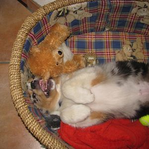 Schlaf Mailo, schlaf :-)