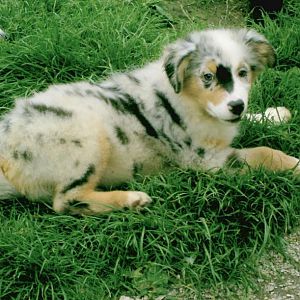 Thyson noch jünger ^^