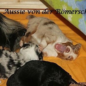 02. August 2011 00 Standard E Mail Ansicht