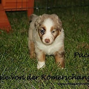 06. August 2011 13 Standard E Mail Ansicht