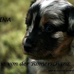 02. August 2011 02 Standard E Mail Ansicht4   Kopie