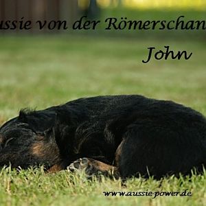 02. August 2011 08 Standard E Mail Ansicht