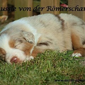 02. August 2011 07 Standard E Mail Ansicht