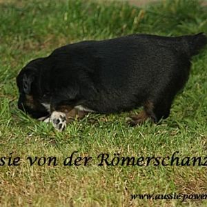 02. August 2011 03 Standard E Mail Ansicht   Kopie