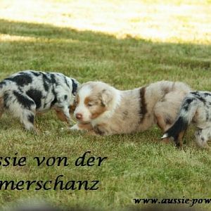 02. August 2011 02 Standard E Mail Ansicht