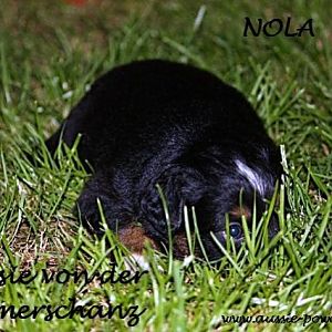 06. August 2011 17 Standard E Mail Ansicht