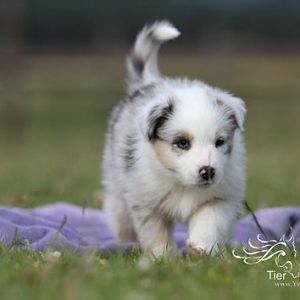 Baby Maya