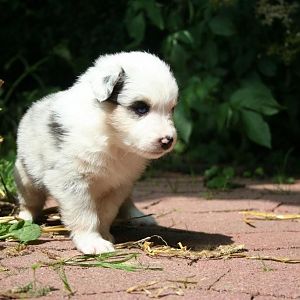 Baby Maya