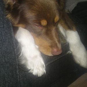 300482 135567166542478 100002675876241 169749 1131966755 n