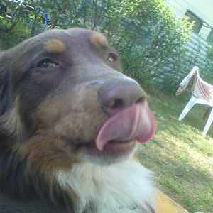 293324 135567999875728 100002675876241 169766 807542626 n