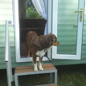 313789 135569439875584 100002675876241 169772 778728762 n