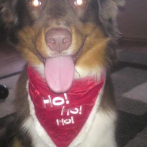 373948 154043674694827 100002675876241 232879 839031923 n