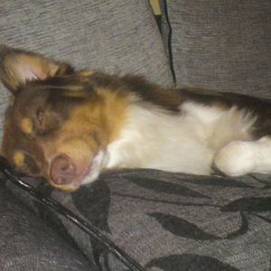 312960 135566636542531 100002675876241 169746 156430379 n