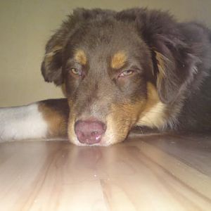 302681 136464229786105 100002675876241 172864 521551010 n