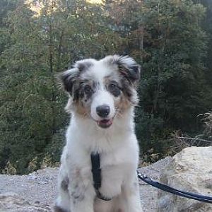 kitzbühel september 2011