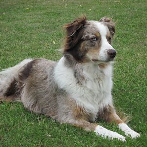 Bild 106Luke 04.07.2011 008