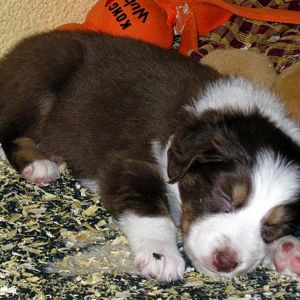 294731 271289169577750 100000900062410 835662 1949700156 n