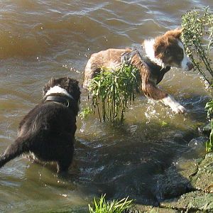 312686 136143203154227 100002756453965 132325 769214669 n