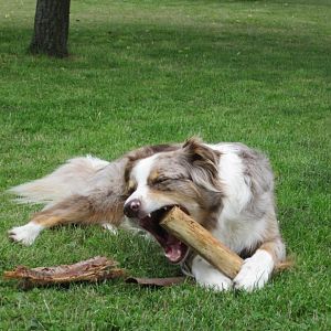 Bild 106Luke 04.07.2011 010