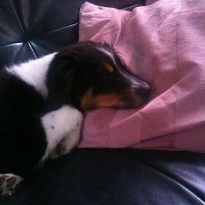 Soo müde bin ich ..