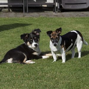 Neele und Jacky 
Donner buddies for life ;)
