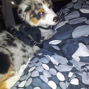 da macht sichs einer gemütlich....