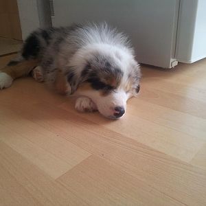 erster Tag im neuen Zuhause