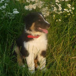 erstmal unseren ort erkunden