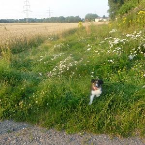 gefällt ihr :)