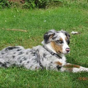 IMG 0873a