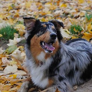 blaetter
6,5 Monate alt