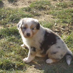 b8707319fbf0c9e40913