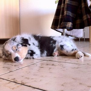 Der erste Tag bei uns war ganz schön anstrengend