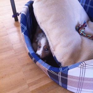 Am ersten Arbeitstag verstecke ich mich doch ;-)