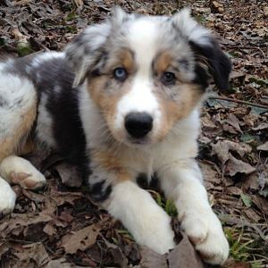 Der erste Arbeitstag