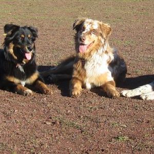 Geschwister unter sich