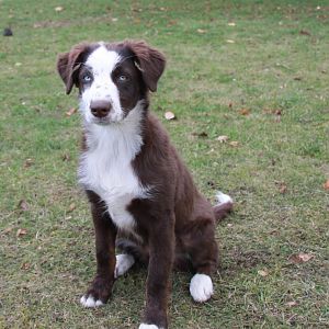 Jenna, morgen 4 Monate jung